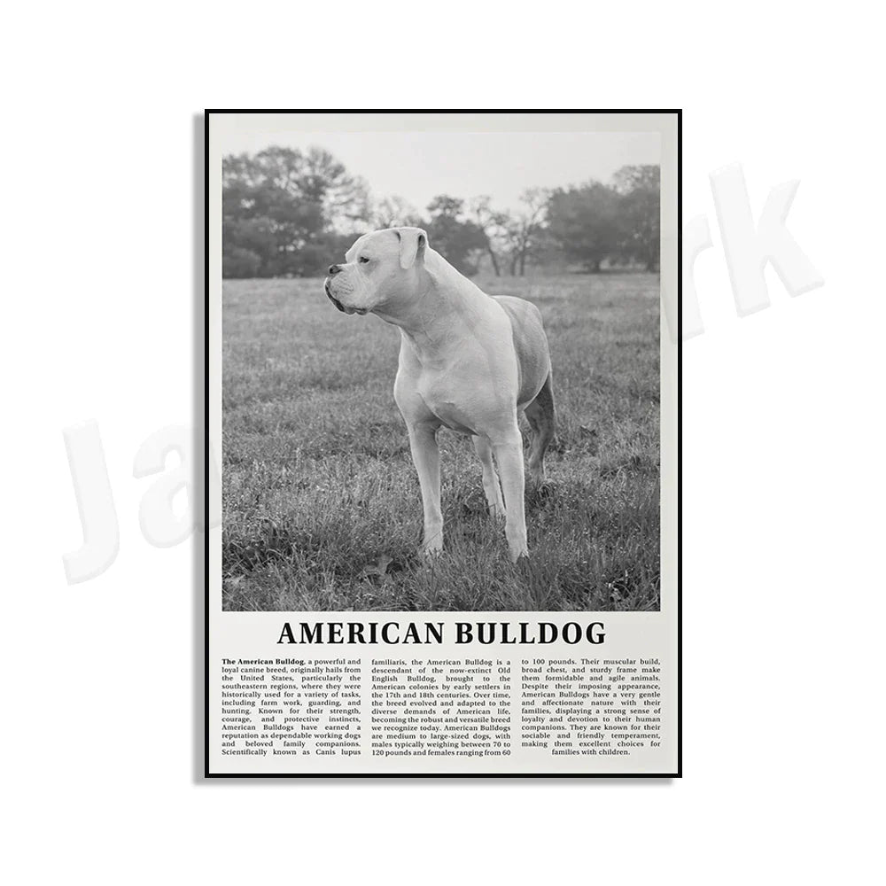 DecorBites™ Black & White Dog Breeds Poster: Greyhound, Cocker Spaniel, Akita, Malamute, Cattle Dog