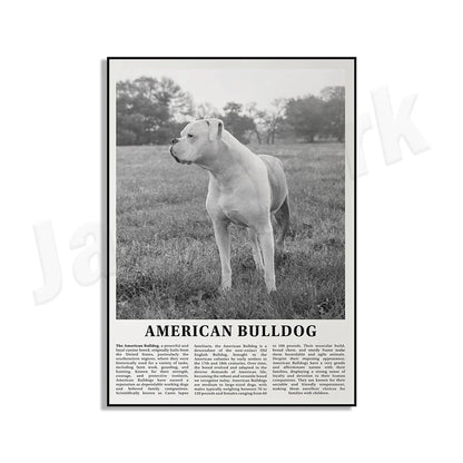 DecorBites™ Black & White Dog Breeds Poster: Greyhound, Cocker Spaniel, Akita, Malamute, Cattle Dog