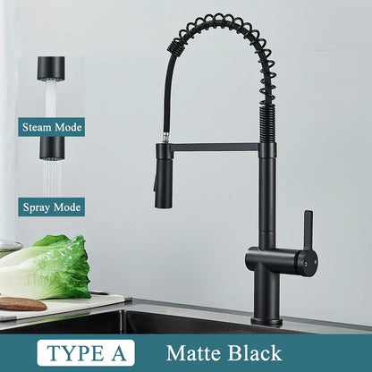 DecorBites™ Brass Kitchen Sink Faucet with Dual Stream Sprayer Nozzle, Hot Cold Water Mixer Tap