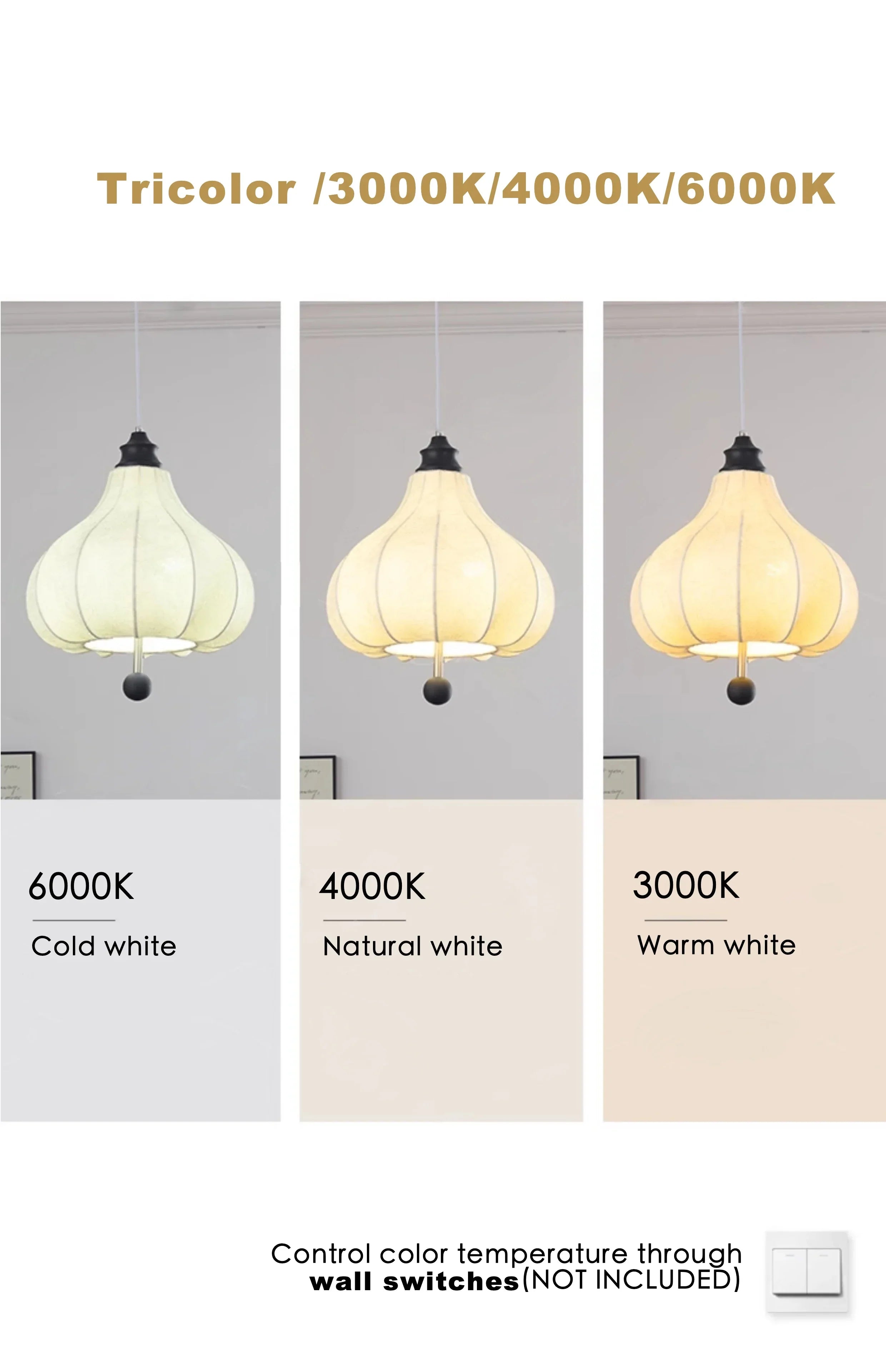 LED Modern Pendant Light