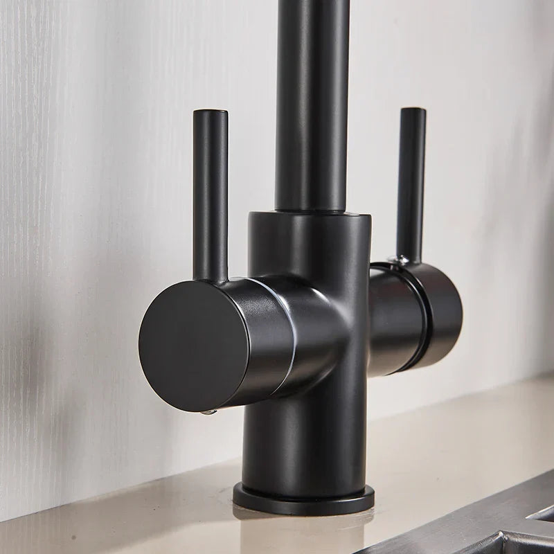 صنبور مطبخ DecorBites™ أسود اللون بمياه نقية، خلاط ساخن وبارد، بمقبضين، صنبور مياه شرب