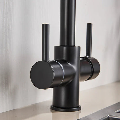 صنبور مطبخ DecorBites™ أسود اللون بمياه نقية، خلاط ساخن وبارد، بمقبضين، صنبور مياه شرب