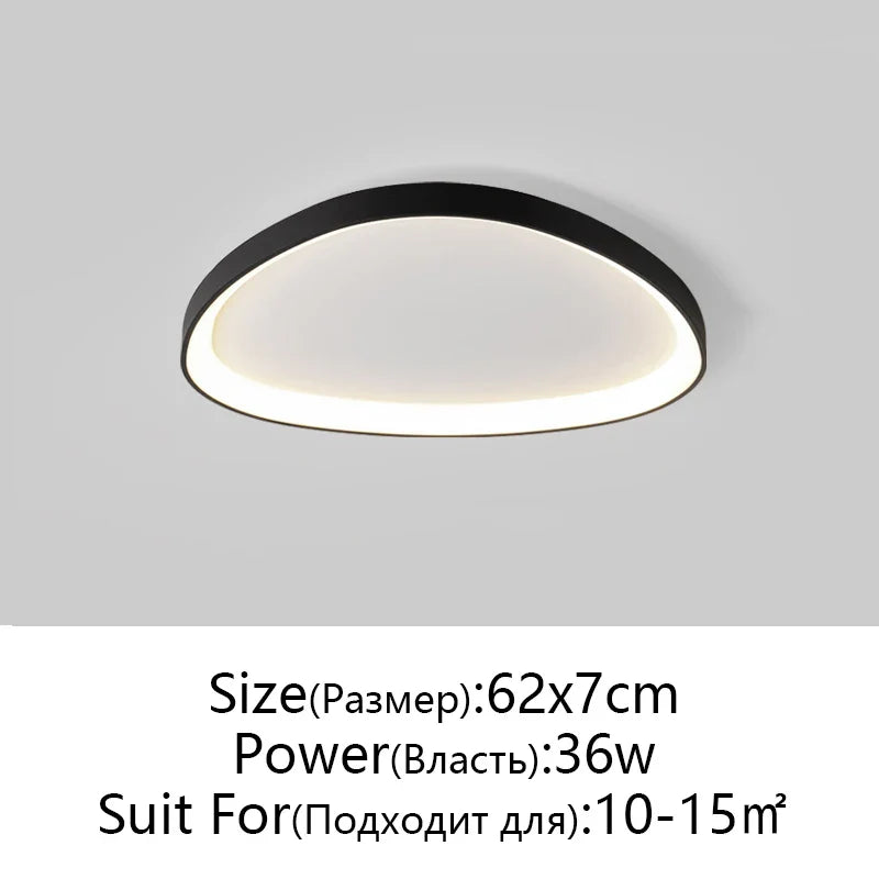Modern LED Ceiling Fixture