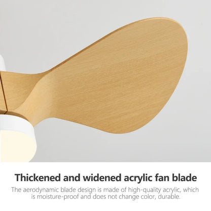 DecorBites™ 24-Inch Mini Ceiling Fan with Lights, Modern Design for Home and Office