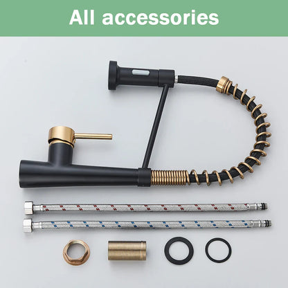 DecorBites™ Black Gold Kitchen Faucet with Pull Down Sprayer