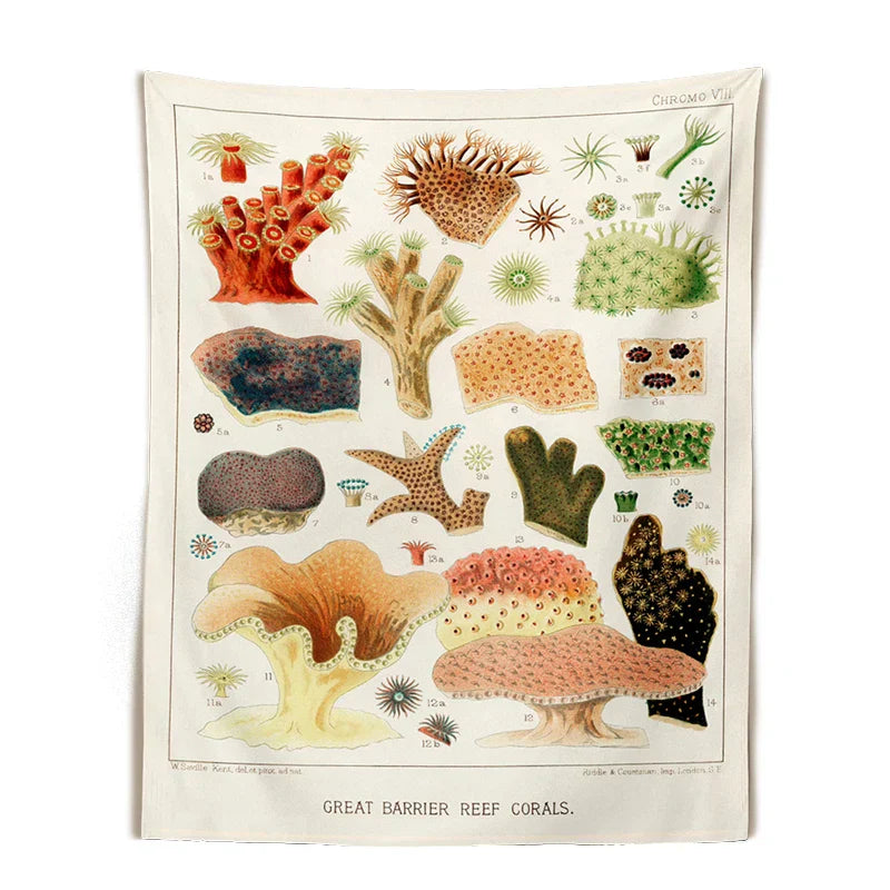 Decobites Mushroom Botanical Tapestry Wall Hanging Identification Chart Floral Print Illustration