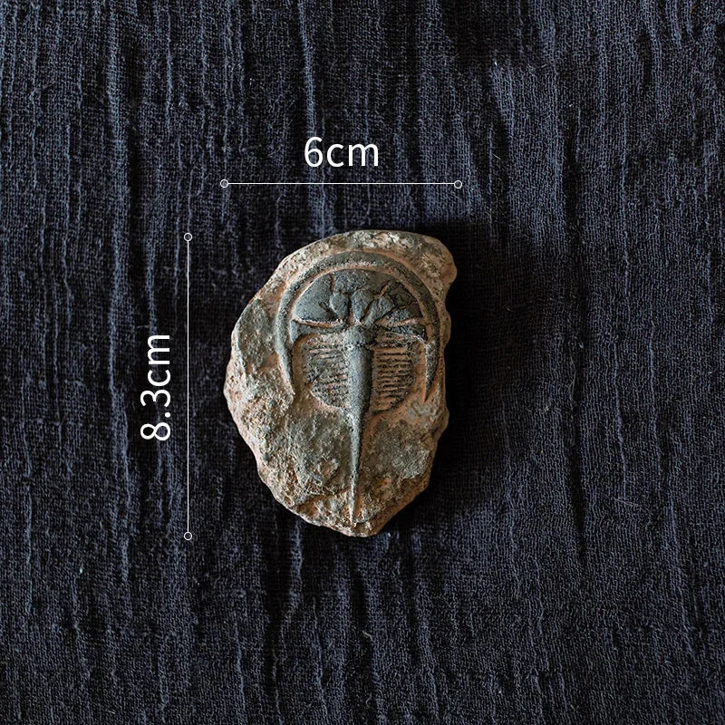 DecorBites™ Fossil Series Art Refrigerator Stickers: Fish Bone Beetle Marine Insect Specimen