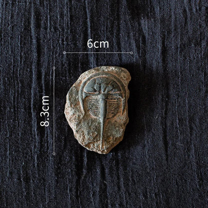 DecorBites™ Fossil Series Art Refrigerator Stickers: Fish Bone Beetle Marine Insect Specimen