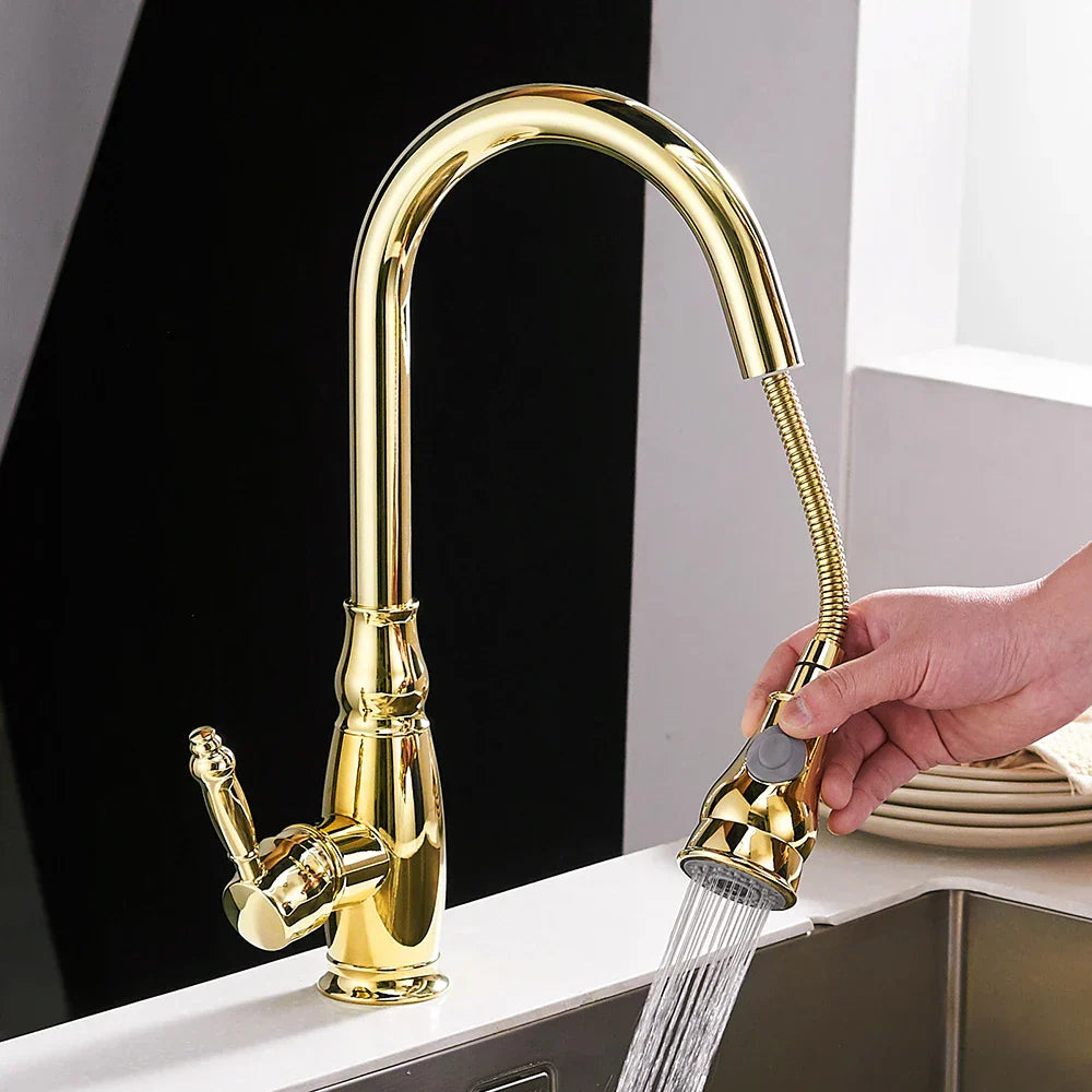 DecorBites™ Gold Kitchen Sink Mixer Faucet with Pull Out Spray Head Rotation - WF-4118