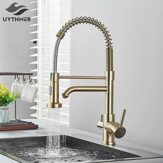 DecorBites™ Dual Spout Water Filter Faucet for Clean Drinking Water with Rotation Purification
