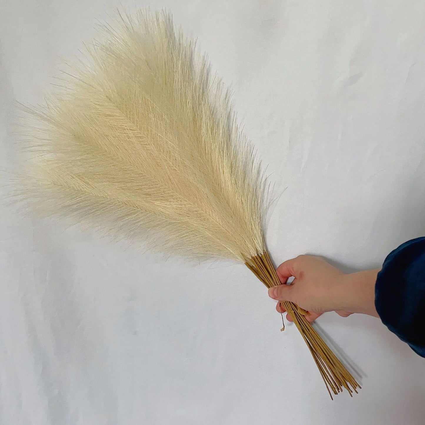 DecorBites™ Fluffy Pampas Grass Boho Decor Pampas Grass.