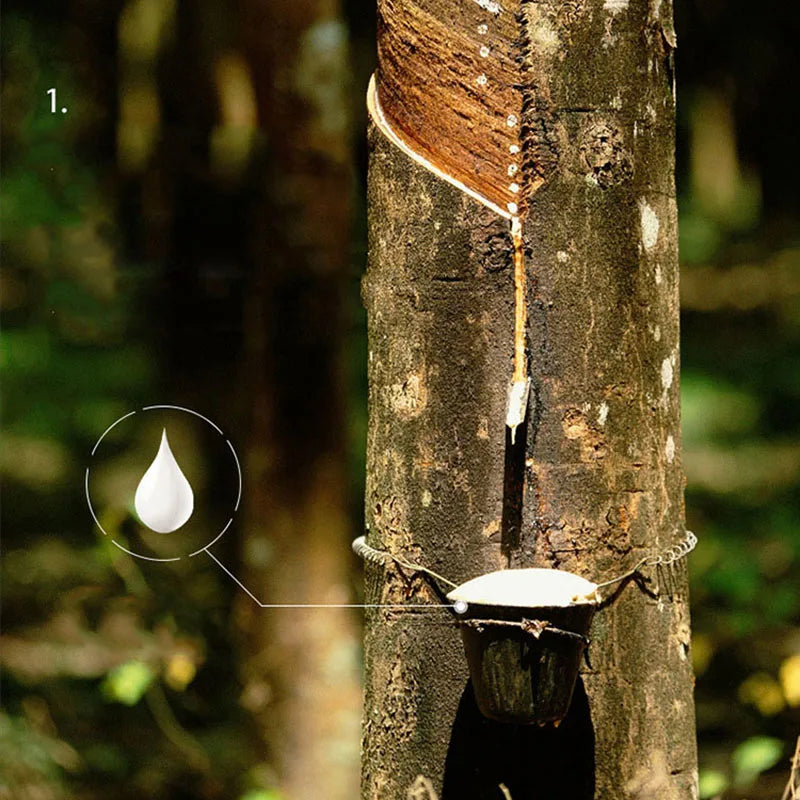 DecorBites™ Latex Memory Pillow for Spine and Neck Health