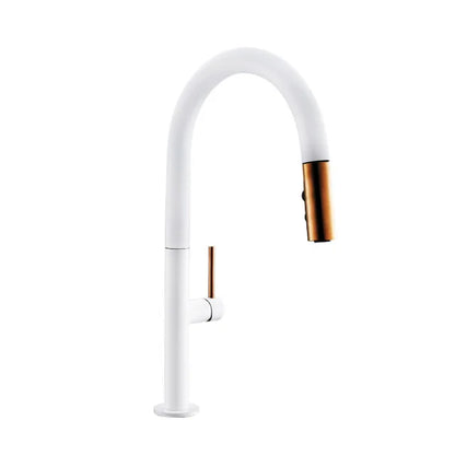 Black Kitchen Faucet Pull Out Spout