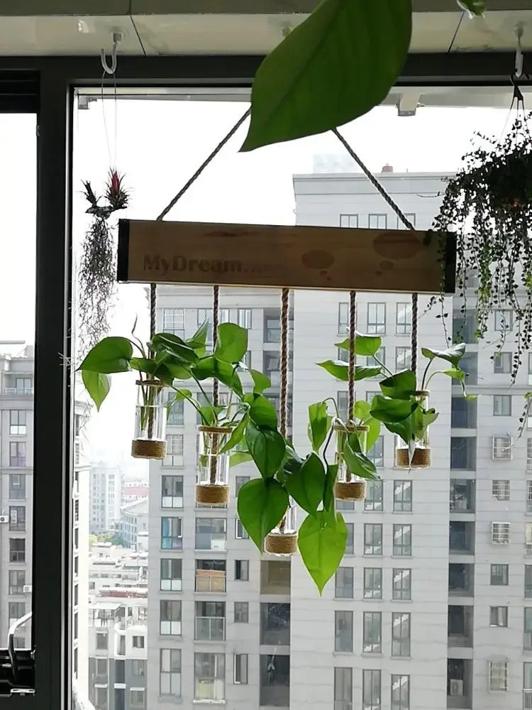 DecorBites™ Glass Planter Vase with Wooden Stand for Wall Hanging Display