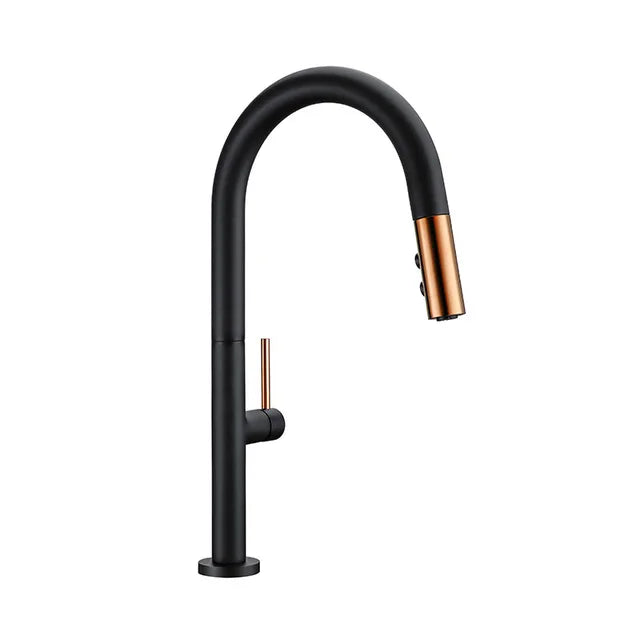 Black Kitchen Faucet Pull Out Spout