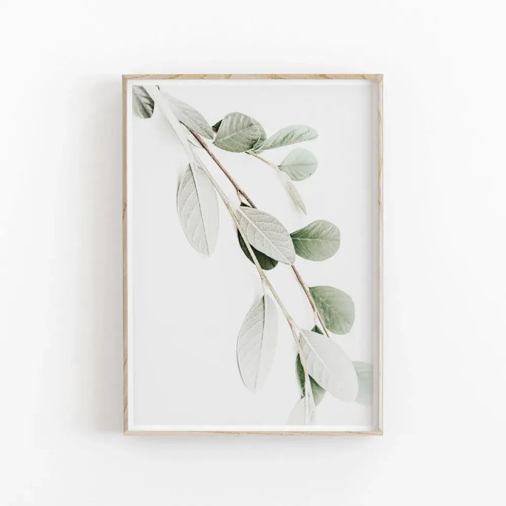 DecorBites™ Nordic Botanical Poster Canvas Art - Eucalyptus Palm
