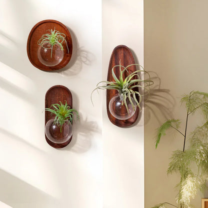 DecorBites™ Glass Vase Flowerpot Wall Decoration for Home Décor and Hydroponics