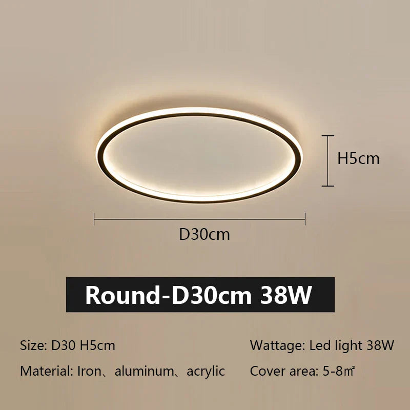 DecorBites™ LED Ceiling Lamp Iron Dimmable Modern Living Room Light Fixture