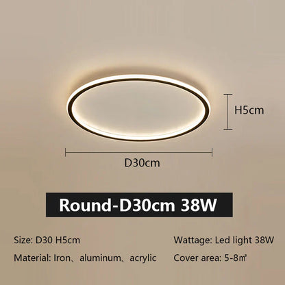 DecorBites™ LED Ceiling Lamp Iron Dimmable Modern Living Room Light Fixture