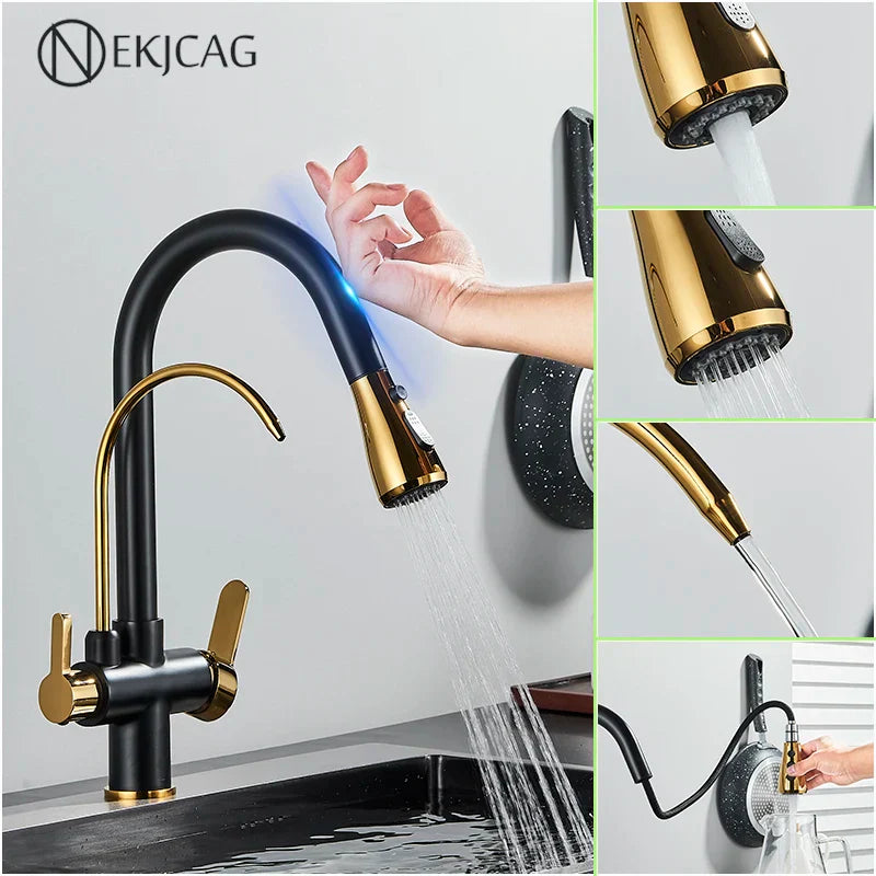 DecorBites™ Gourmet Pull Out Black Gold Kitchen Faucet with Sprayer Mixer Swivel Sink Tap