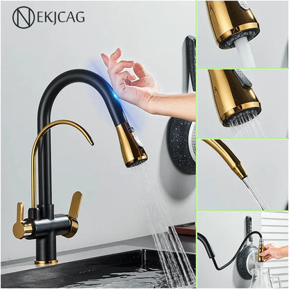 DecorBites™ Gourmet Pull Out Black Gold Kitchen Faucet with Sprayer Mixer Swivel Sink Tap