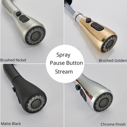 DecorBites™ Brushed Nickel Kitchen Faucet with Flexible Pull Out Nozzle and Stream Sprayer