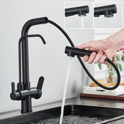 DecorBites™ Black 2-in-1 Purification Kitchen Faucet with Flexible Pull Out Nozzle