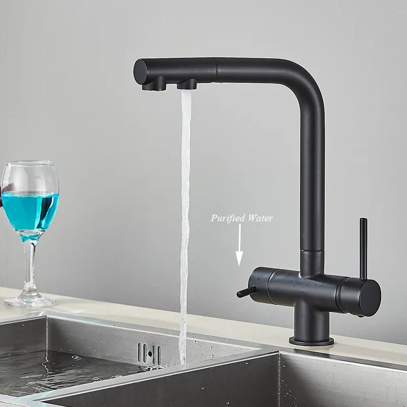 DecorBites™ Kitchen Faucet with Water Filter Tap and Dual Sprayer