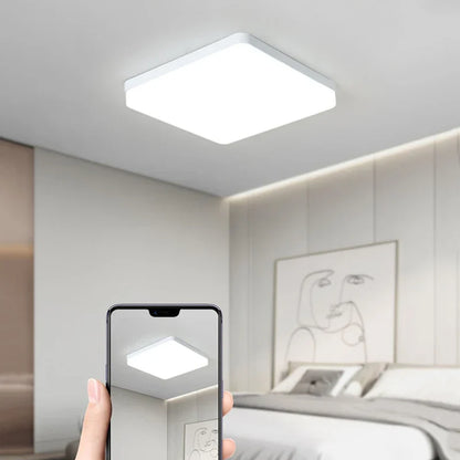 DecorBites™ LED Panel Ceiling Light 48w 36w 24w 18w for Bedroom Living Room Home Lighting