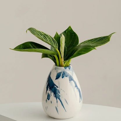 DecorBites™ Graffiti Ceramic Vase for Stylish Flower Arrangements