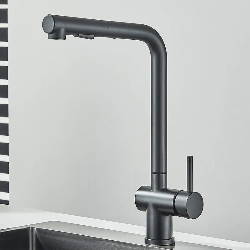 DecorBites™ Black Gourmet Kitchen Faucet with Flexible Sprayer and Dual Nozzle