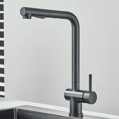 DecorBites™ Black Gourmet Kitchen Faucet with Flexible Sprayer and Dual Nozzle