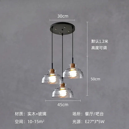 DecorBites™ Clear Glass Pendant Lamp with LED Lights for Home Decor