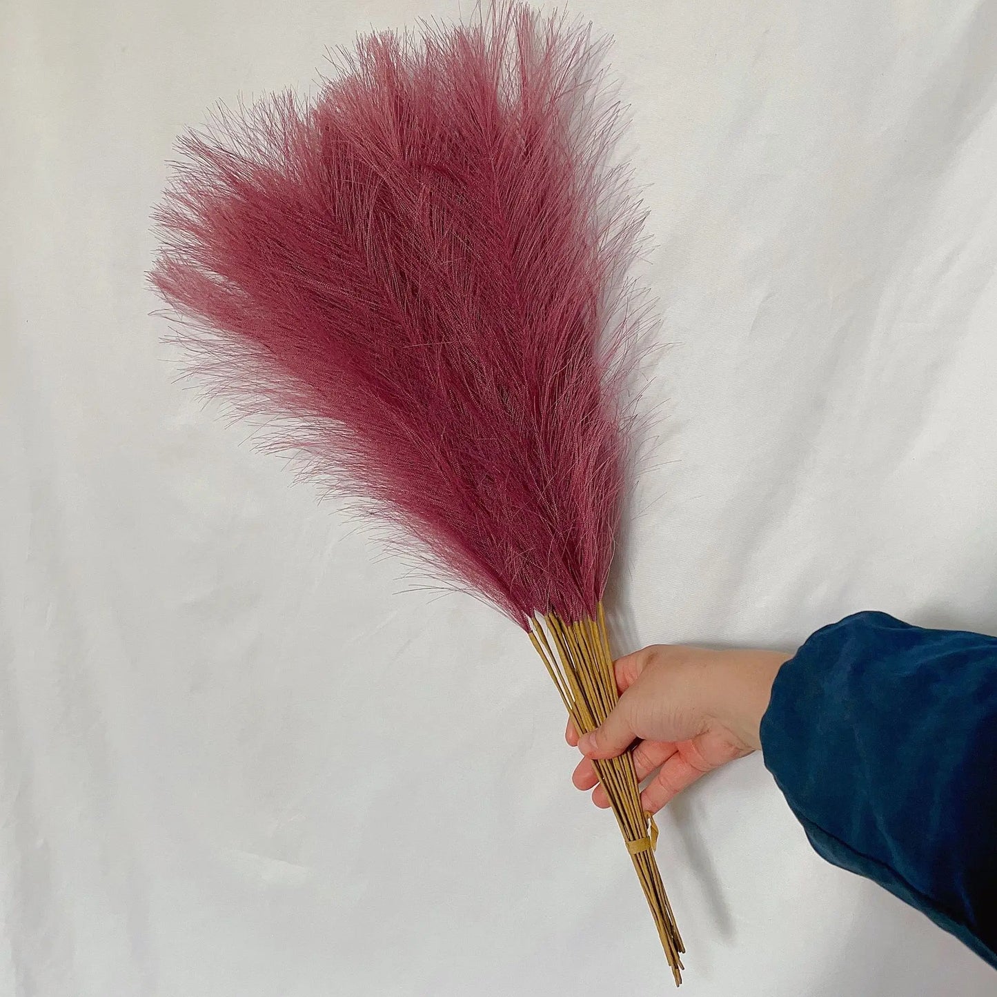 DecorBites™ Fluffy Pampas Grass Boho Decor Pampas Grass.