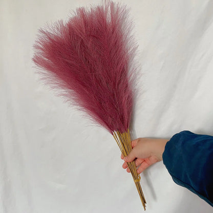 DecorBites™ Fluffy Pampas Grass Boho Decor Pampas Grass.