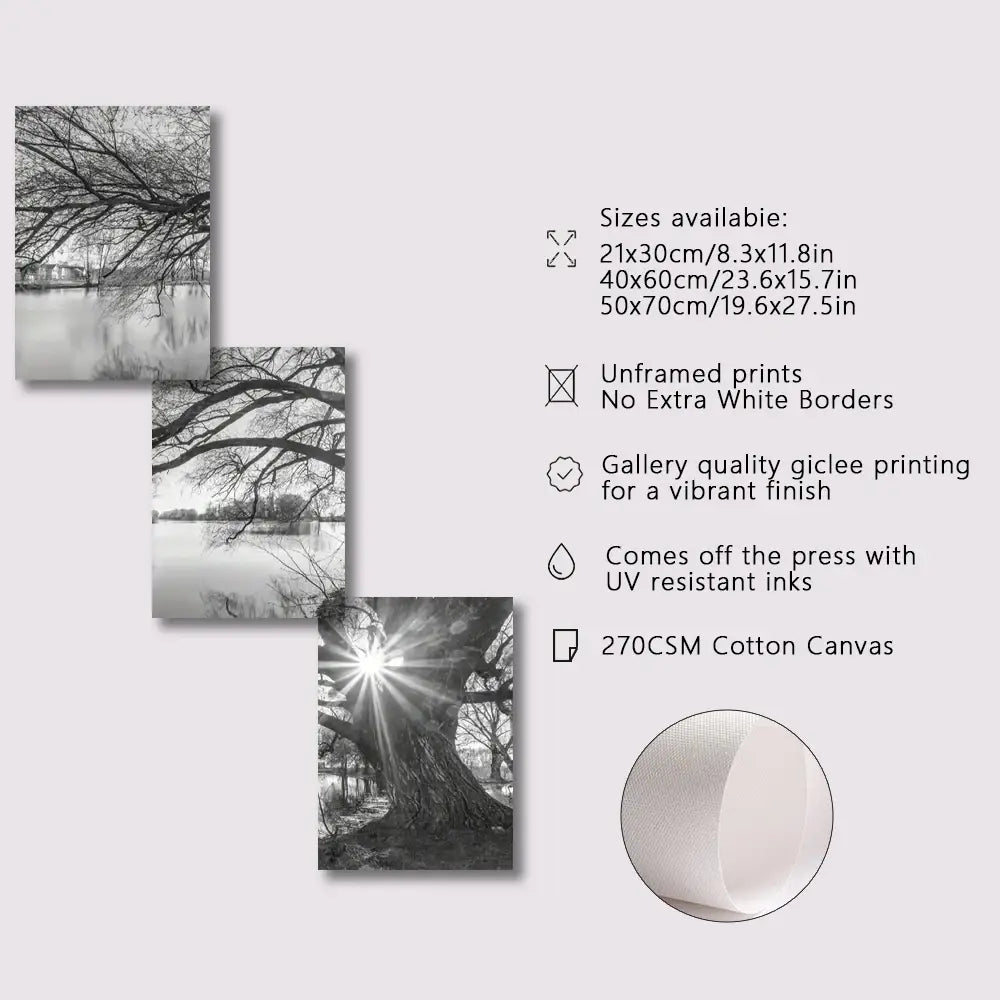 Decorbites™ ‚Atemberaubende Leinwandposter mit Sonnenuntergang am Großen Baumsee‘