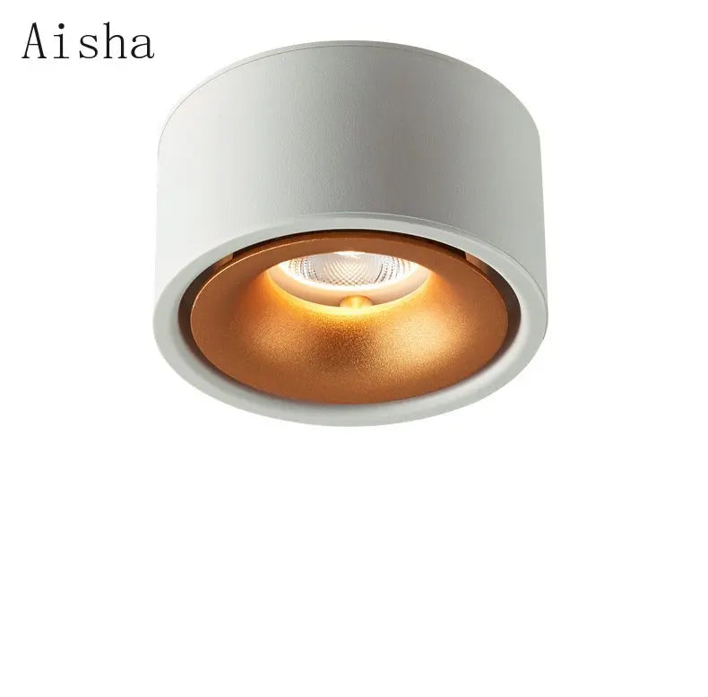 Aluminum Spotlight Ceiling Lamp