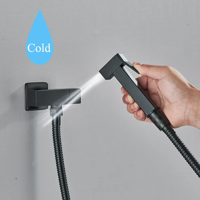 DecorBites™ Black Brass Bidet Faucet: Single Cold Water Tap, Handheld Sprayer Gun, Hygienic Shower Cleaner