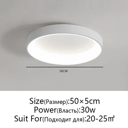 DecorBites™ LED Ceiling Lights: White Grey Modern Design, Dimmable for Living Room Bedroom Dining