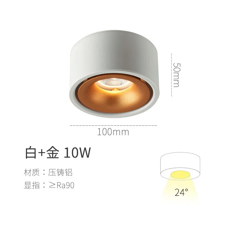 Aluminum Spotlight Ceiling Lamp