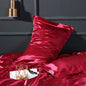 Decobites Silk Pillowcase: Luxurious Silky Soft Skin-Friendly Pillow Cover for Beauty Sleep