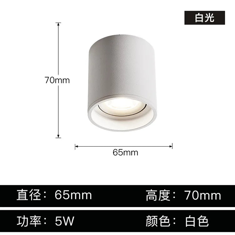 DecorBites™ Aluminum Ceiling Lamp: Cylindrical Surface Mounted Downlight with Adjustable Beam Angle