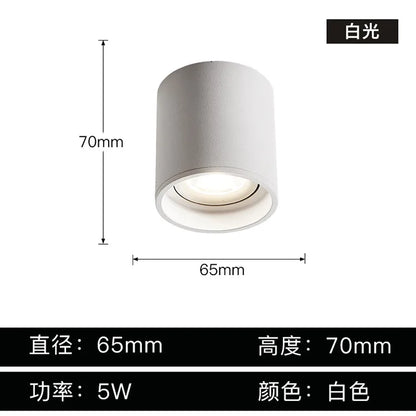 DecorBites™ Aluminum Ceiling Lamp: Cylindrical Surface Mounted Downlight with Adjustable Beam Angle