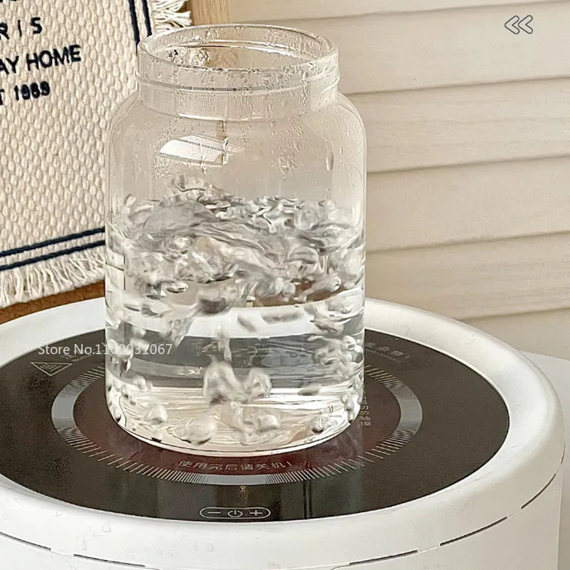 DecorBites™ Glass Tea Cup with Lid: High Temp Resistant & Sealed Coffee Cup