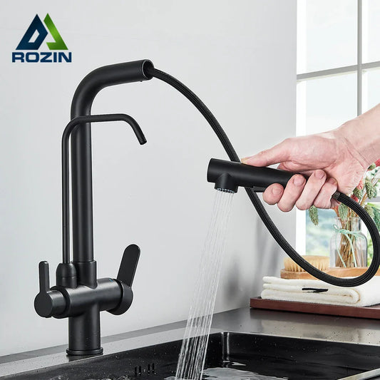 DecorBites™ Black 2-in-1 Purification Kitchen Faucet with Flexible Pull Out Nozzle