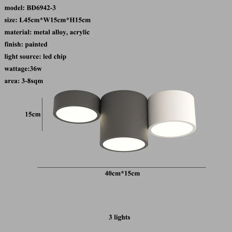 DecorBites™ Cylinder LED Ceiling Lamp for Living Room and Bedroom Decor
