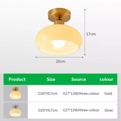 DecorBites™ Gold LED Ceiling Light for Home Hotel Bedroom Living Room - Modern Lighting Fixture