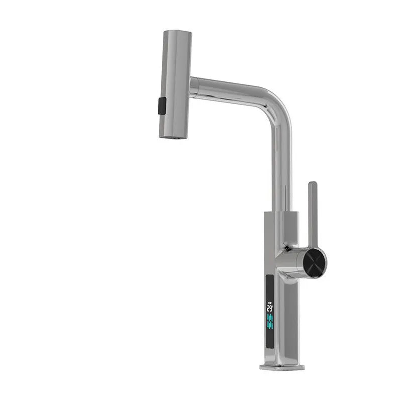 DecorBites™ Digital Display Single Lever Brass Kitchen Faucet - Hot Cold Pull Out Mixer