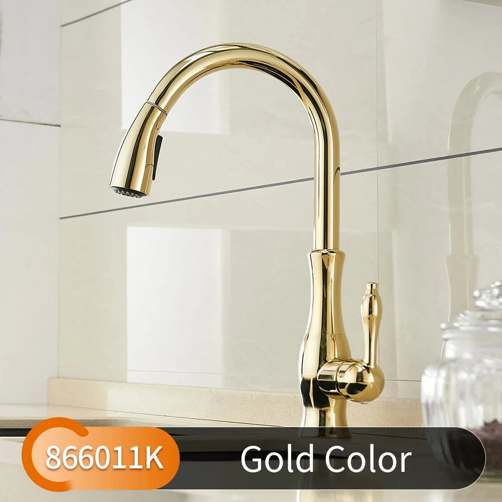 Black Gold Brass Kitchen Faucet Pull-Out Spray