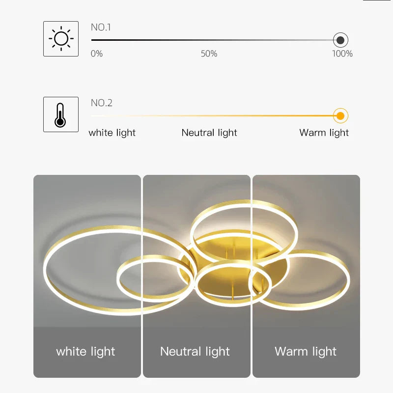 Decorbites™ Anillos de Lámpara de Techo LED de Araña Colgante - Iluminación Minimalista para el Hogar